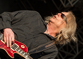 BSR_2015