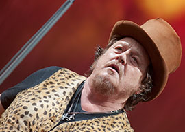 Zucchero