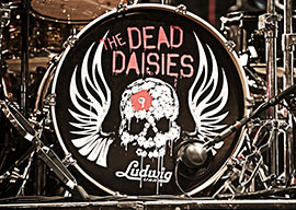 dead_daisies