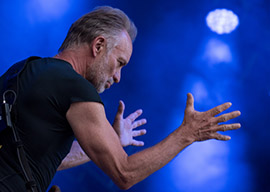 Sting