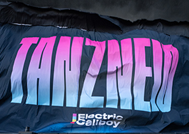Electric_Callboy